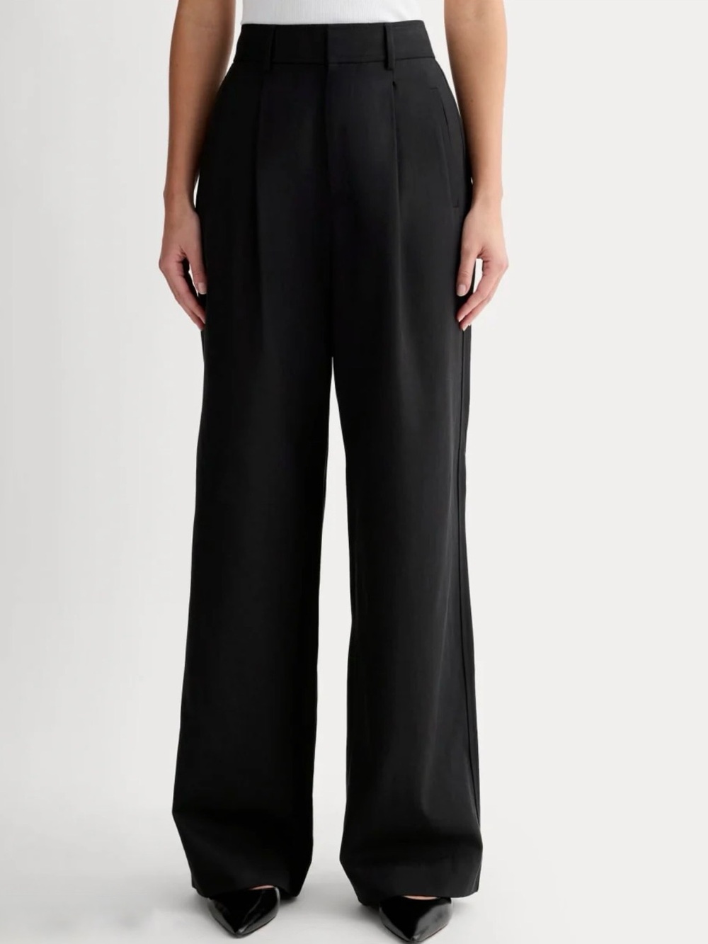 Everlane The Draper Pleated Wide Leg Pants In Buttersmooth Size 6S Black